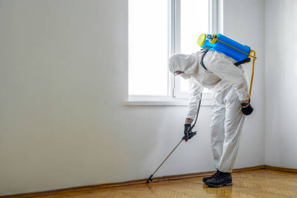 Trusted St Helen, MI Pest control Experts